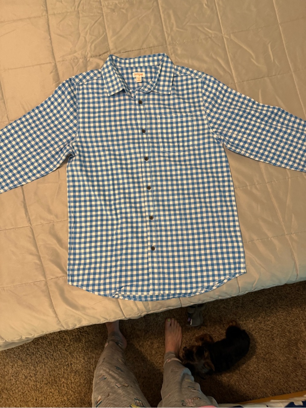 Cat & Jack Blue and White Gingham Button-Down Shirt